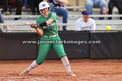 NJCAA: Andrews at Bevill State