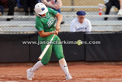 NJCAA: Andrews at Bevill State
