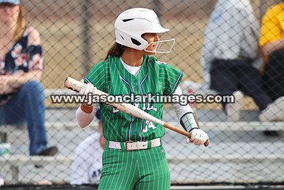 NJCAA: Andrews at Bevill State