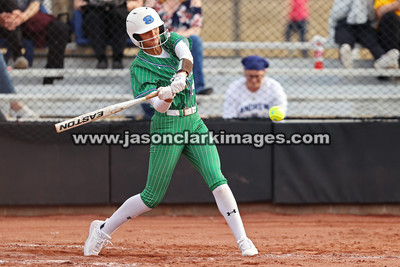 NJCAA: Andrews at Bevill State