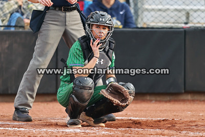 NJCAA: Andrews at Bevill State