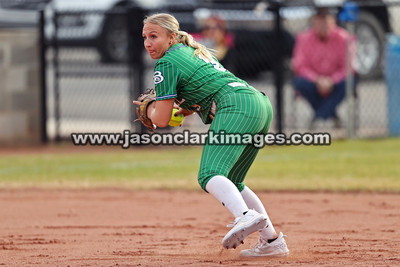 NJCAA: Andrews at Bevill State
