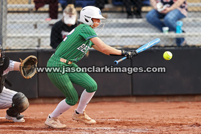 NJCAA: Andrews at Bevill State