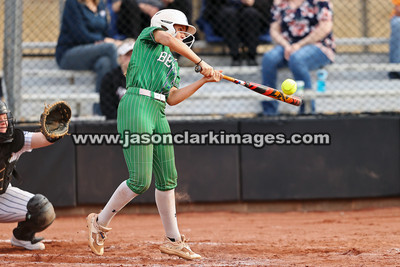 NJCAA: Andrews at Bevill State