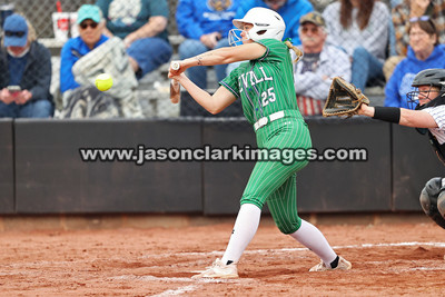 NJCAA: Andrews at Bevill State