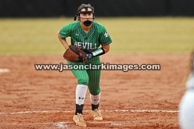 NJCAA: Andrews at Bevill State