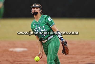 NJCAA: Andrews at Bevill State