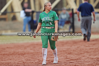 NJCAA: Andrews at Bevill State