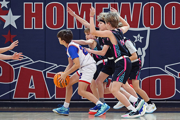 Heat Basketball 2024