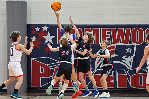 Heat Basketball 2024
