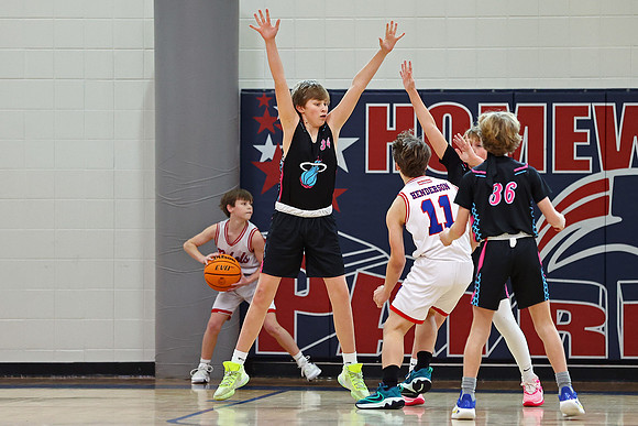 Heat Basketball 2024