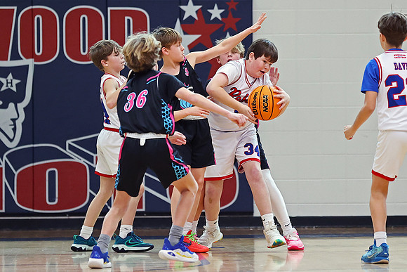 Heat Basketball 2024