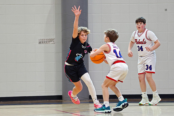 Heat Basketball 2024