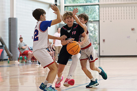 Heat Basketball 2024