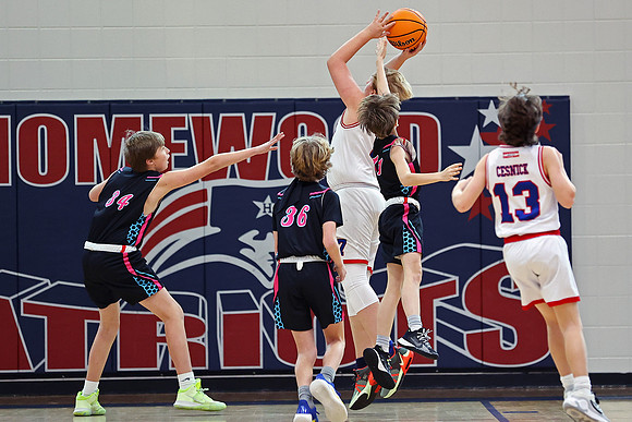 Heat Basketball 2024