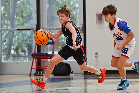 Heat Basketball 2024