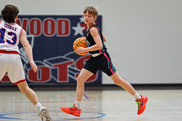 Heat Basketball 2024