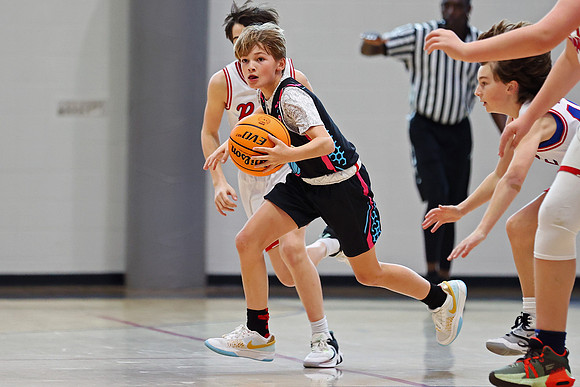 Heat Basketball 2024