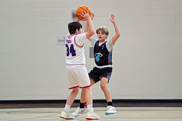 Heat Basketball 2024