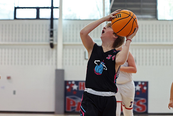 Heat Basketball 2024