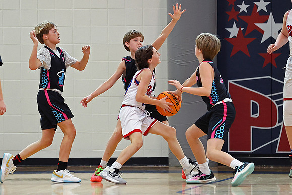 Heat Basketball 2024
