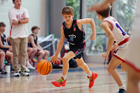 Heat Basketball 2024