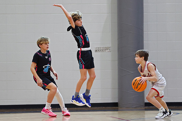 Heat Basketball 2024
