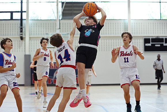 Heat Basketball 2024