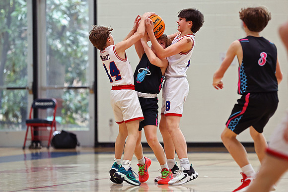 Heat Basketball 2024