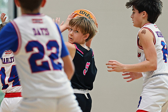 Heat Basketball 2024