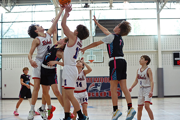 Heat Basketball 2024