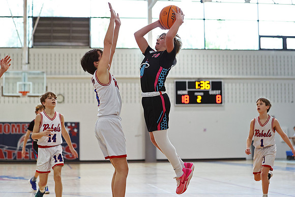 Heat Basketball 2024