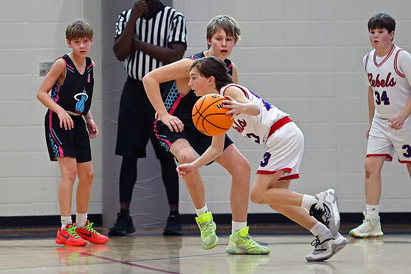 Heat Basketball 2024