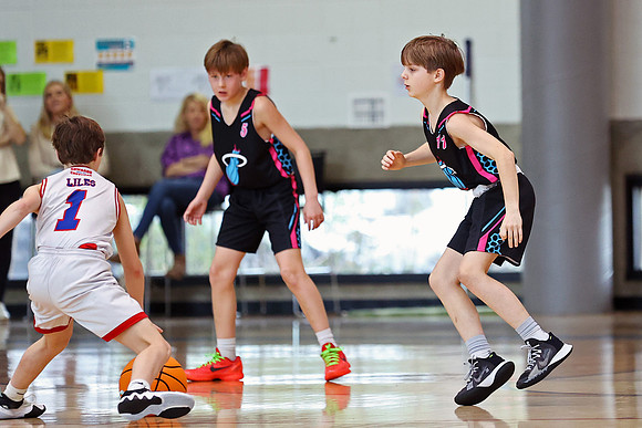 Heat Basketball 2024