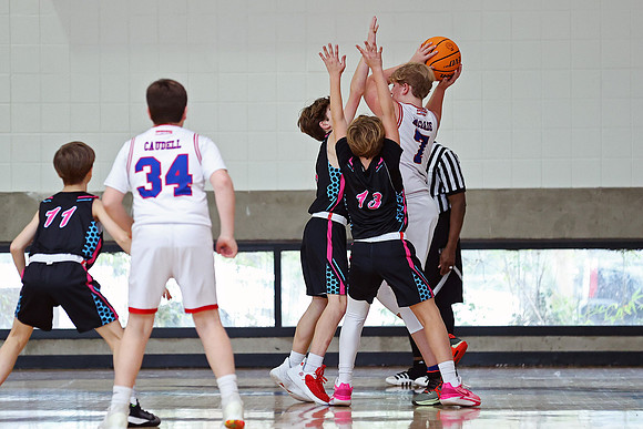 Heat Basketball 2024
