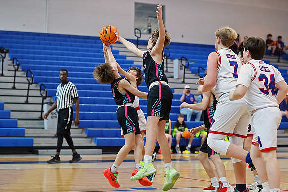Heat Basketball 2024