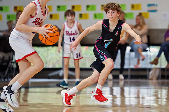 Heat Basketball 2024