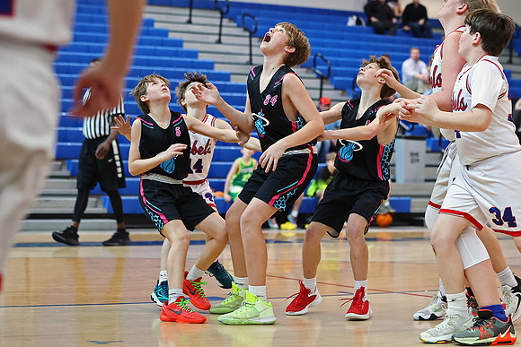 Heat Basketball 2024