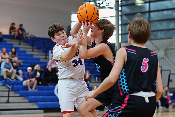 Heat Basketball 2024