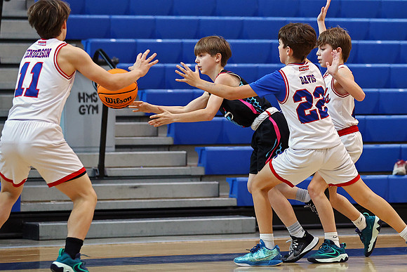 Heat Basketball 2024