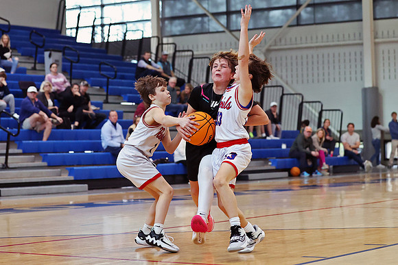 Heat Basketball 2024