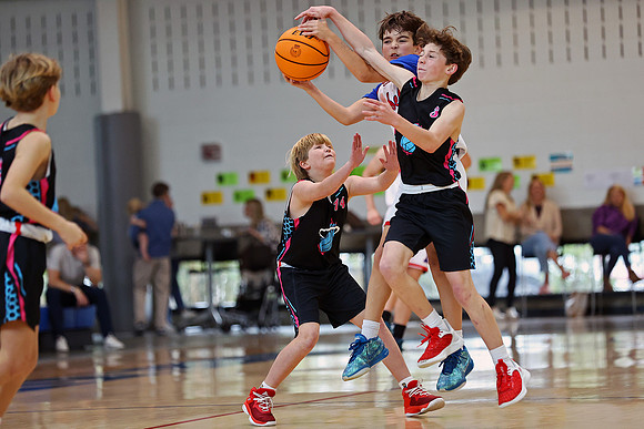 Heat Basketball 2024