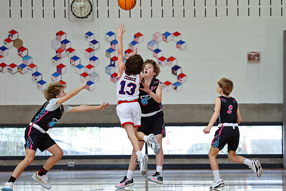 Heat Basketball 2024