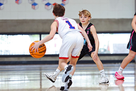 Heat Basketball 2024