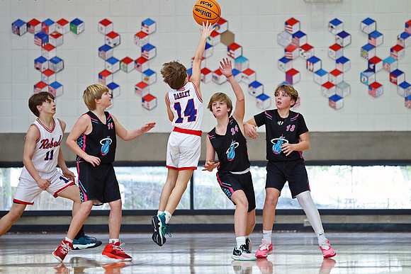 Heat Basketball 2024