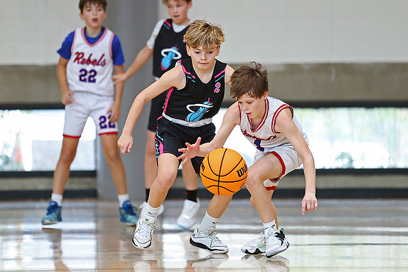Heat Basketball 2024