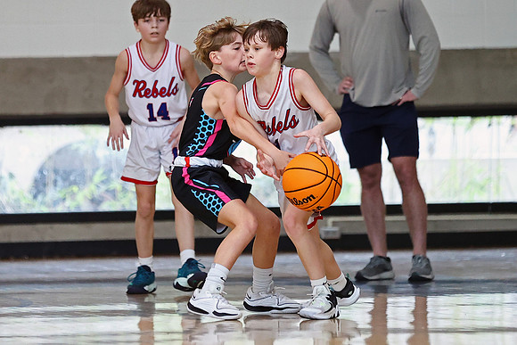 Heat Basketball 2024