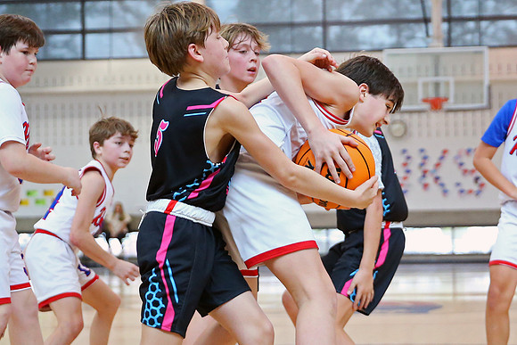 Heat Basketball 2024