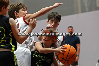 Mambas Basketball 2024