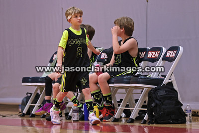 Mambas Basketball 2024